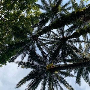 Meet your Posher, Mackenzie